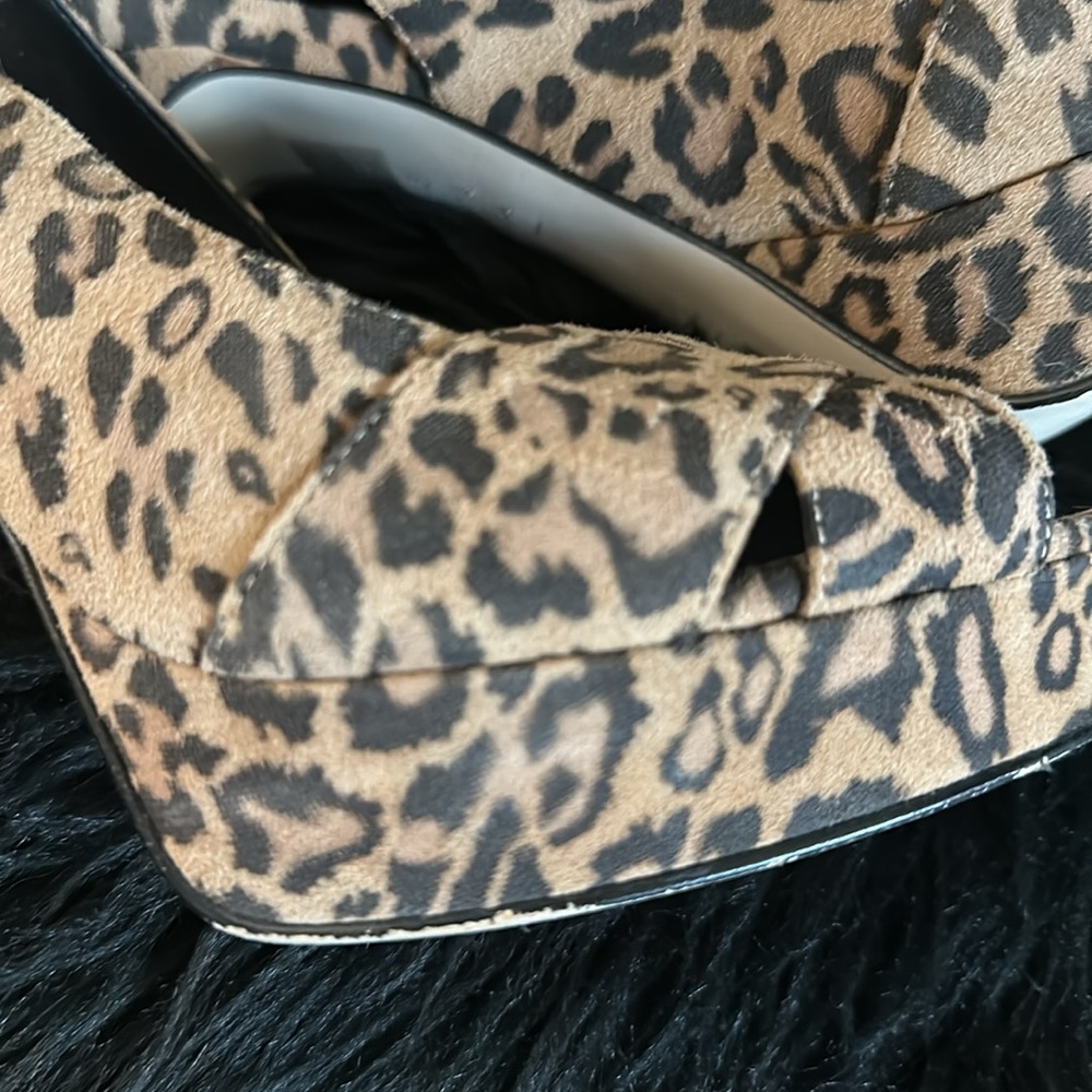 Pelle Moda - Picture 7 of 7